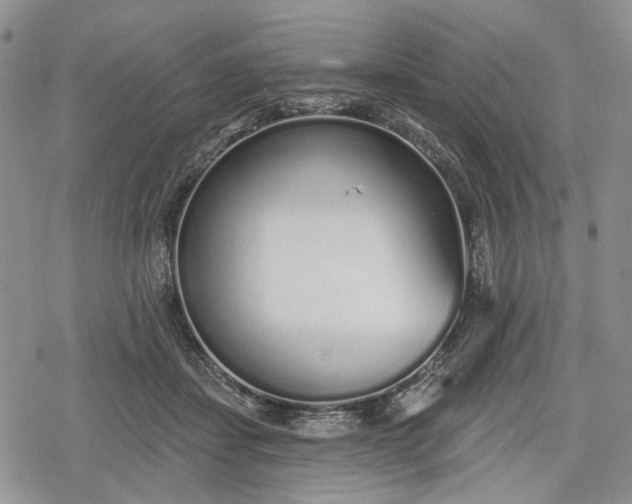 X0000078830459200611271301