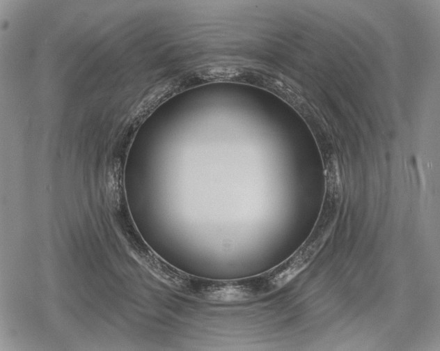 X0000078830460200611271301