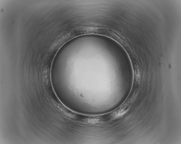 X0000078830462200611271301