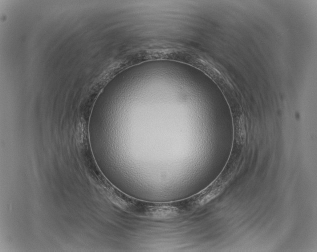 X0000078830463200611271301