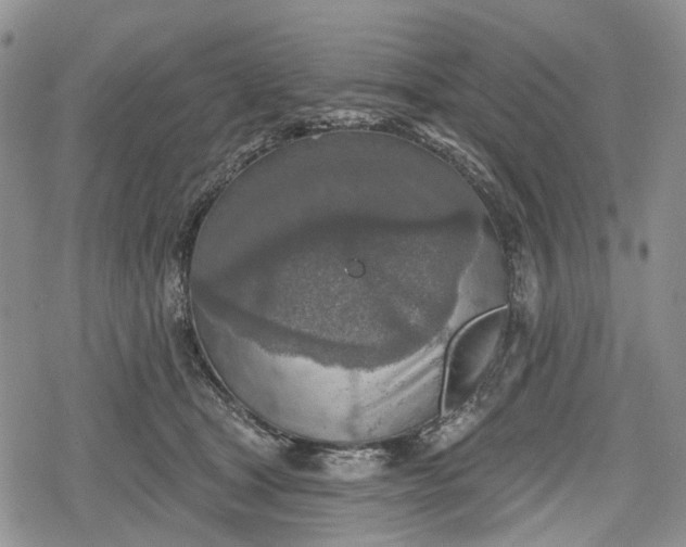 X0000078830465200611271301