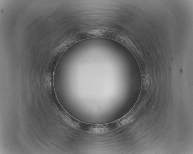 X0000078830466200611271301