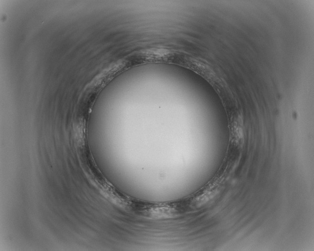 X0000078830468200611271301