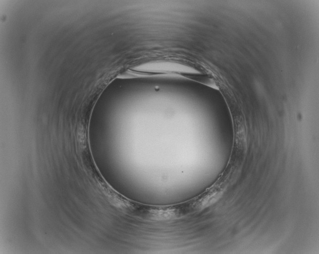 X0000078830469200611271301