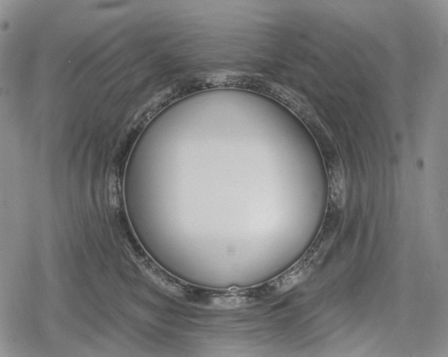 X0000078830470200611271301