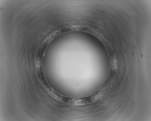 X0000078830472200611271301