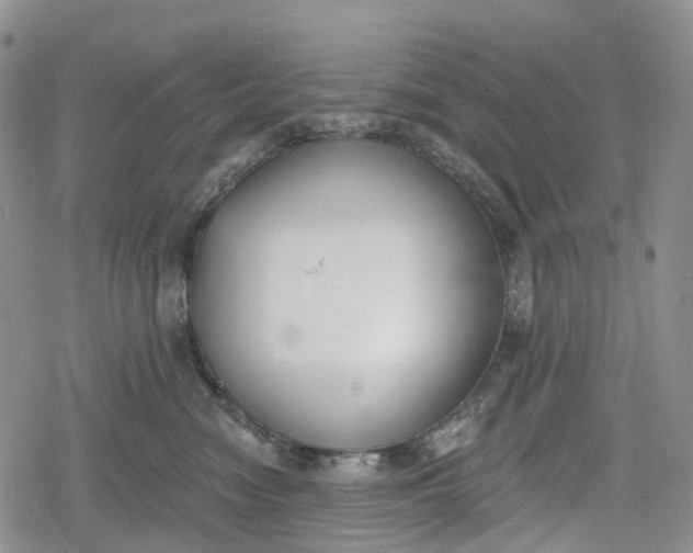 X0000078830474200611271301