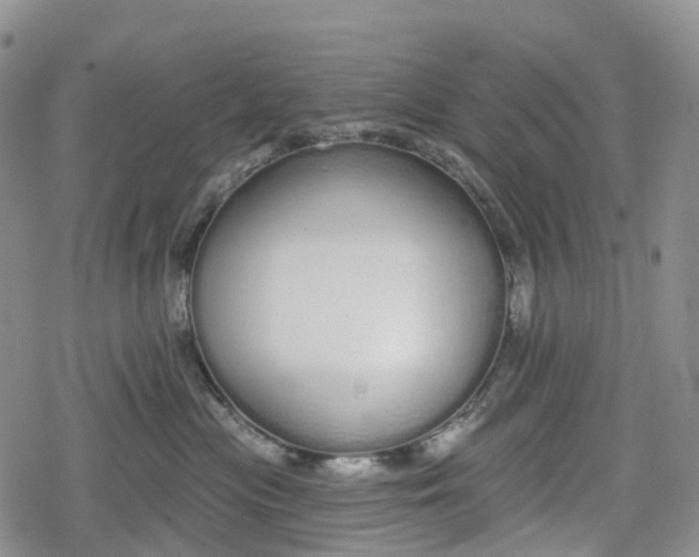 X0000078830477200611271301