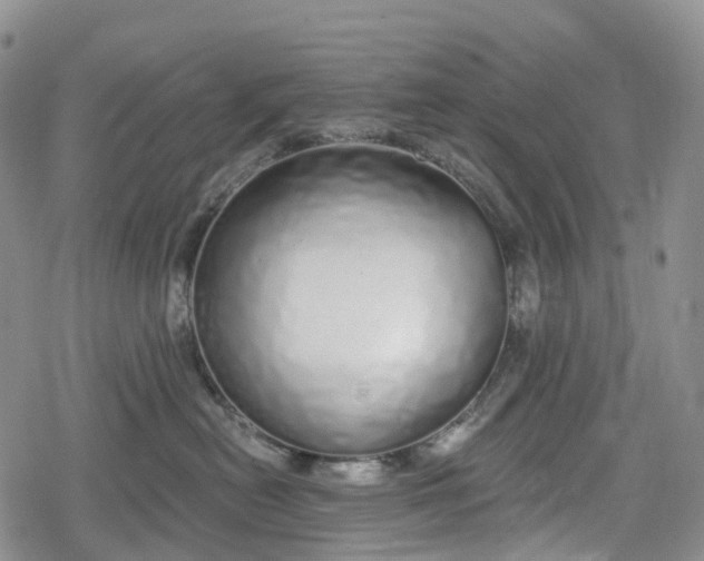 X0000078830478200611271301