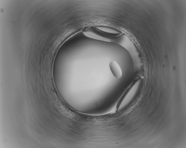 X0000078830481200611271301