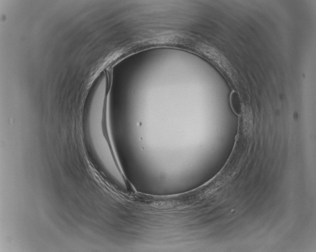 X0000078830482200611271301