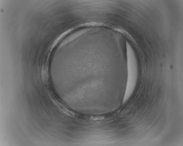 X0000078830484200611271301