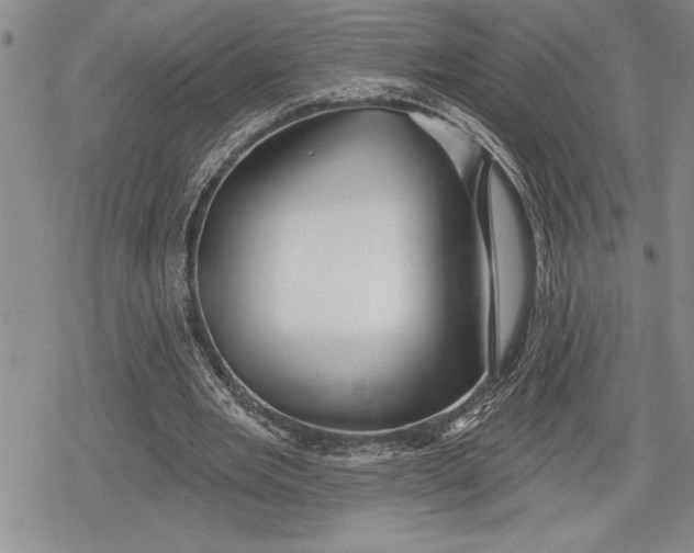 X0000078830485200611271301