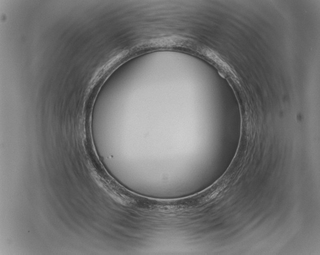 X0000078830486200611271301