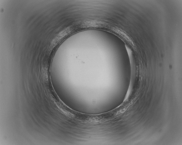 X0000078830489200611271301