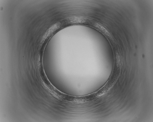 X0000078830490200611271300