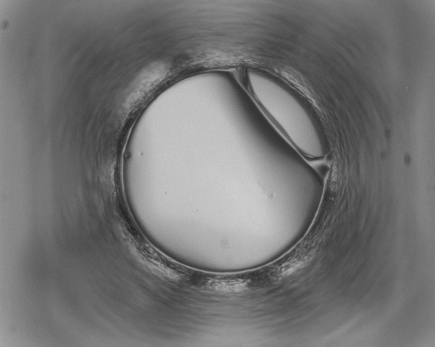 X0000078830491200611271300