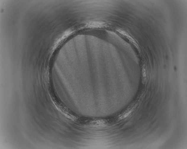 X0000078830492200611271300