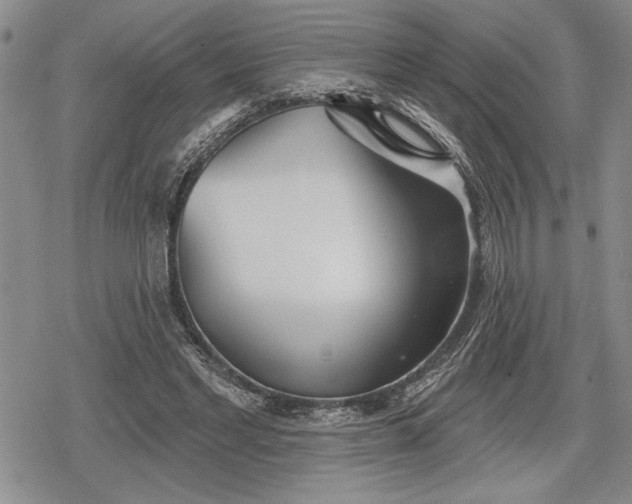 X0000078830493200611271300