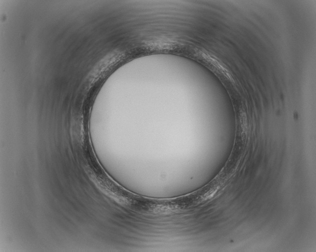 X0000078830494200611271300