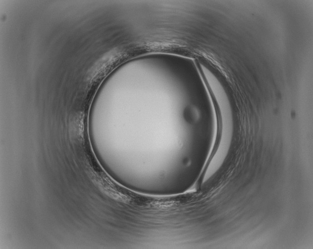 X0000078830495200611271300