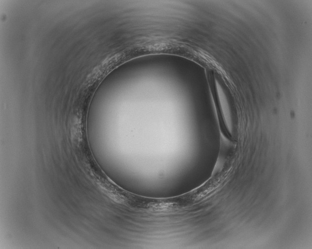 X0000078830497200611271300