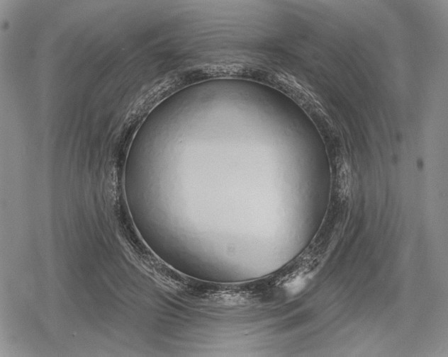 X0000078830498200611271300