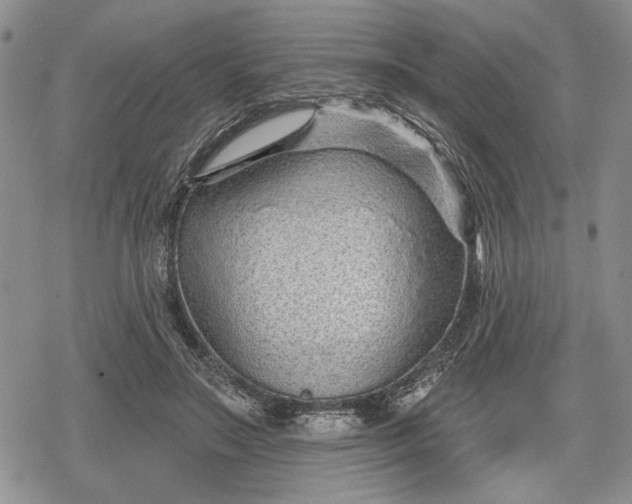 X0000078830499200611271300