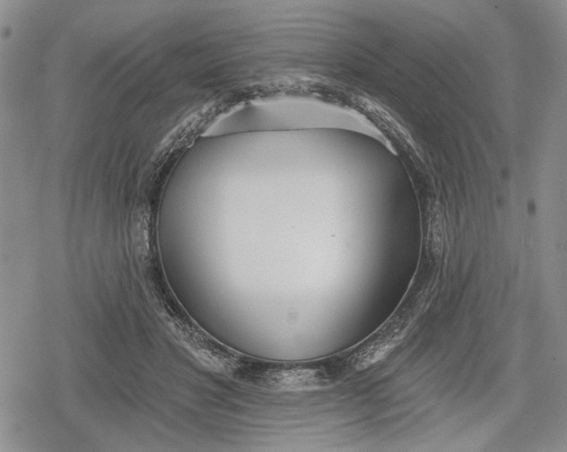 X0000078830501200611271300