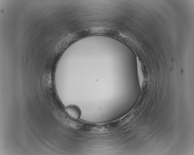 X0000078830502200611271300