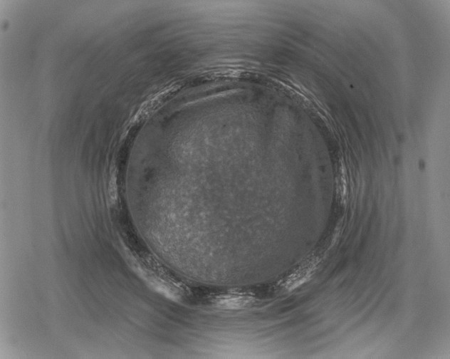 X0000078830504200611271300