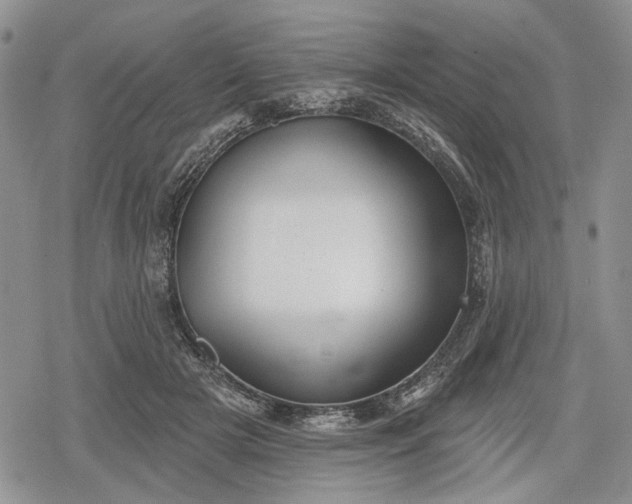 X0000078830505200611271300