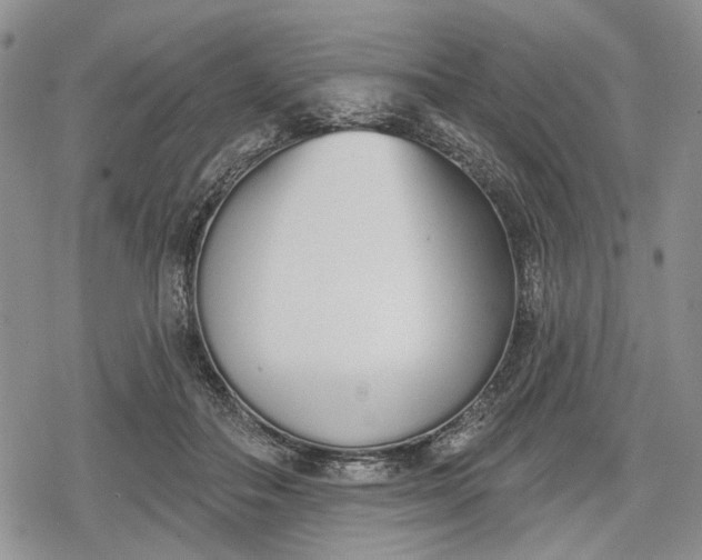 X0000078830506200611271300