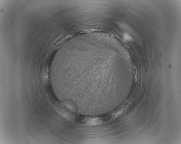 X0000078830507200611271300