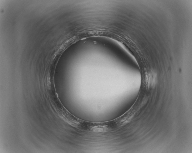 X0000078830508200611271300