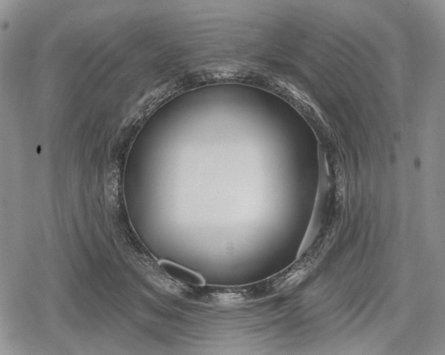 X0000078830509200611271300