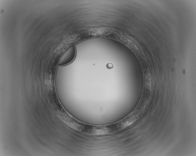 X0000078830510200611271300