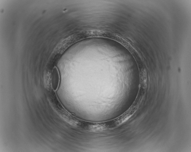 X0000078830511200611271300