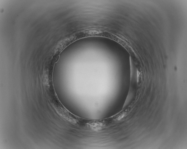 X0000078830512200611271300