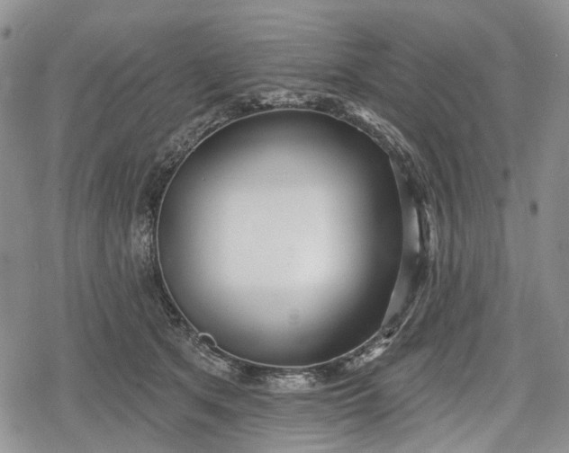 X0000078830513200611271300