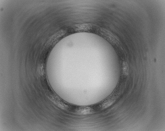 X0000078830514200611271300