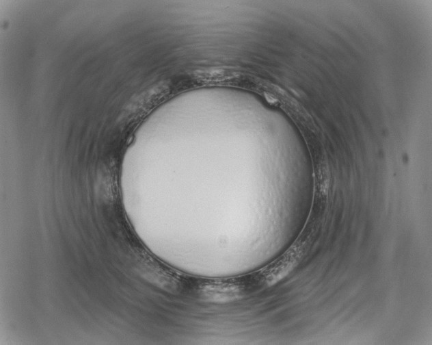 X0000078830515200611271300