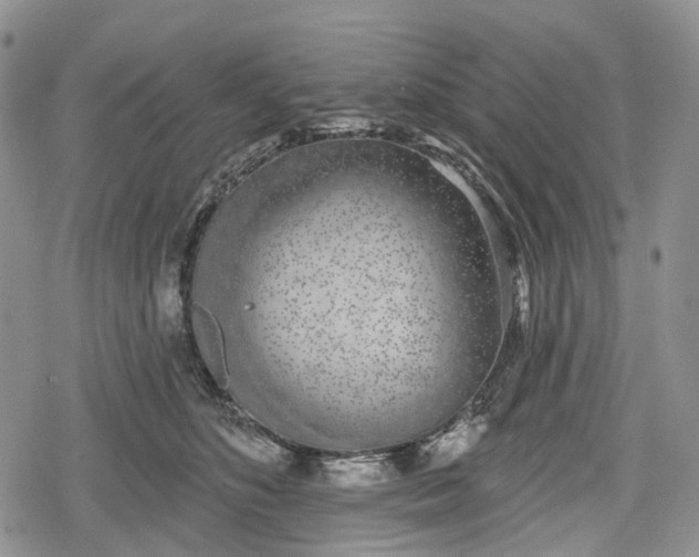 X0000078830516200611271300