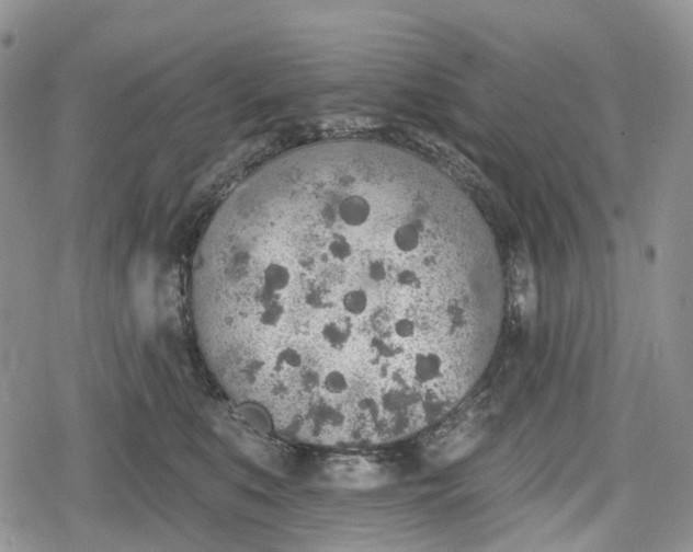 X0000078830519200611271300