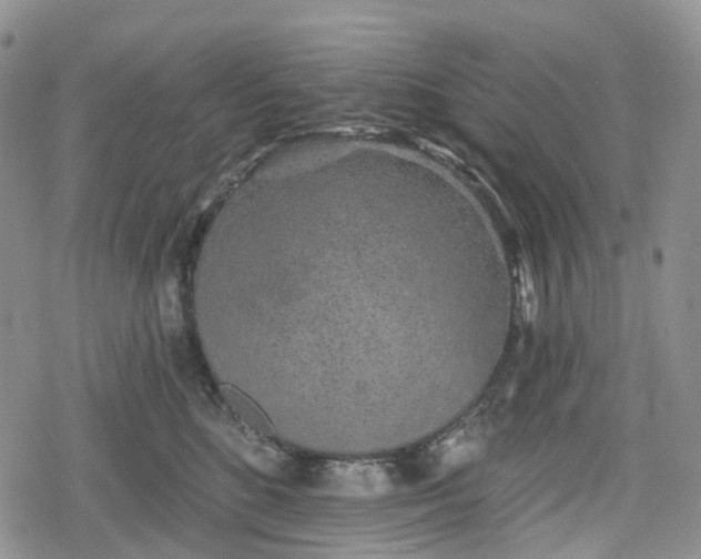 X0000078830520200611271300