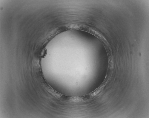 X0000078830521200611271300