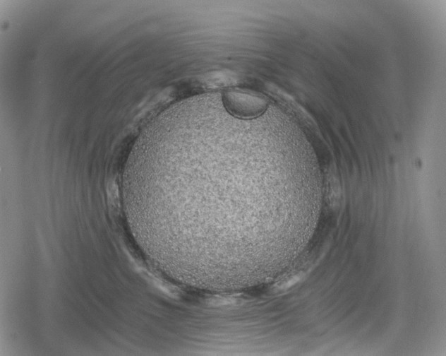 X0000078830523200611271300