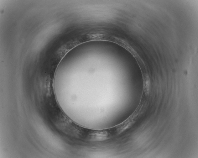 X0000078830525200611271300