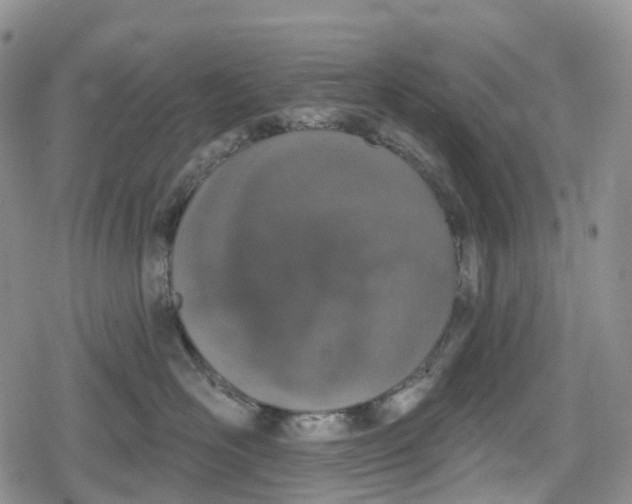 X0000078830526200611271300