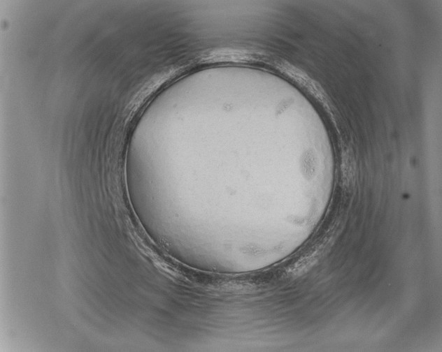 X0000078830529200611271259